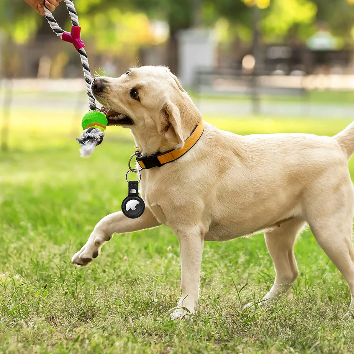 Smart Tag Keychain