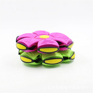 Flying Saucer Pet Toy